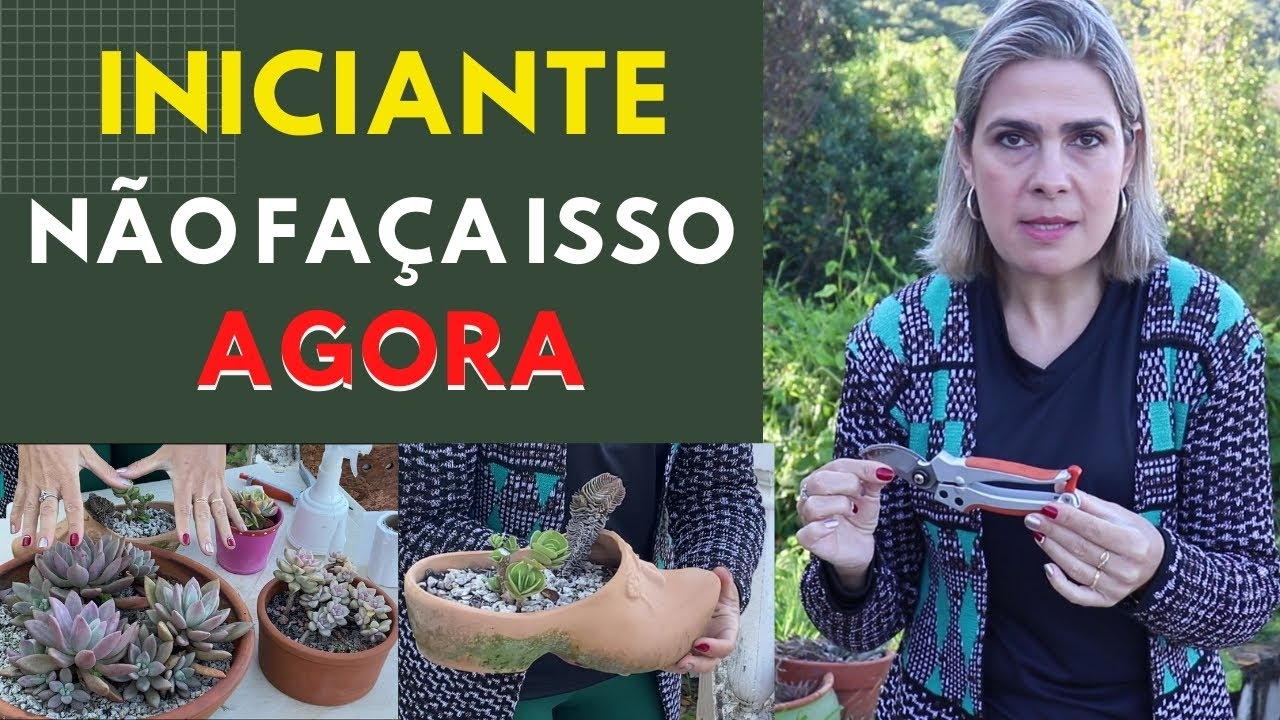 TOUR na Coleção com NOVIDADES + Mudas de SUCLENTAS á venda/Grazi Bittencourt