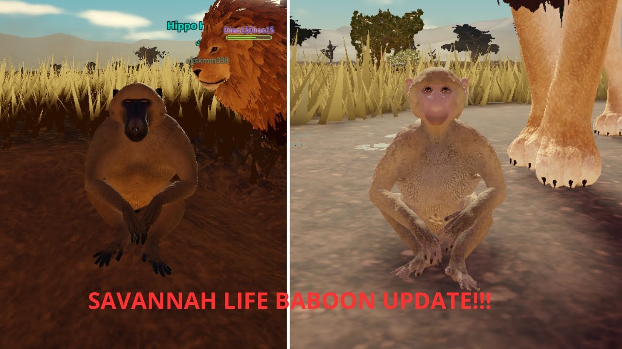 Roblox Savannah life baboon update!!