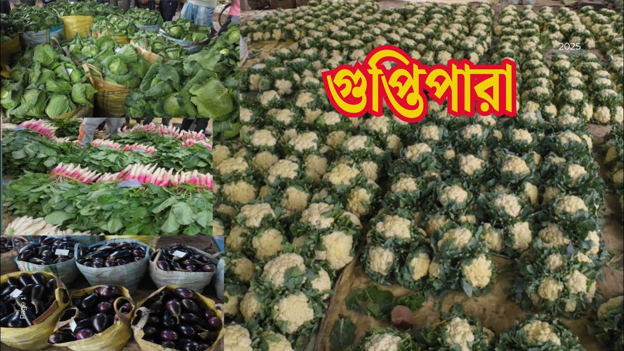 গুপ্তিপাড়ায় ফুলকপি বাঁধাকপি বেগুন ঝিঙে মূলোর দাম আনেক সস্তা । Guptipara Bazar। Vegetable Market ।