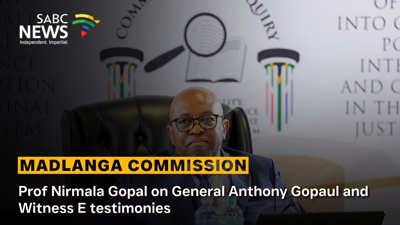 Madlanga Commission | Prof Nirmala Gopal on General Anthony Gopaul and Witness E testimonies