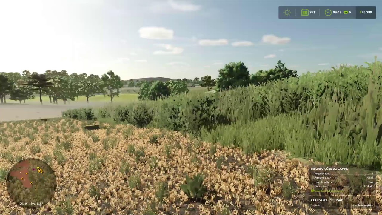 live  mapa turvo com amigos