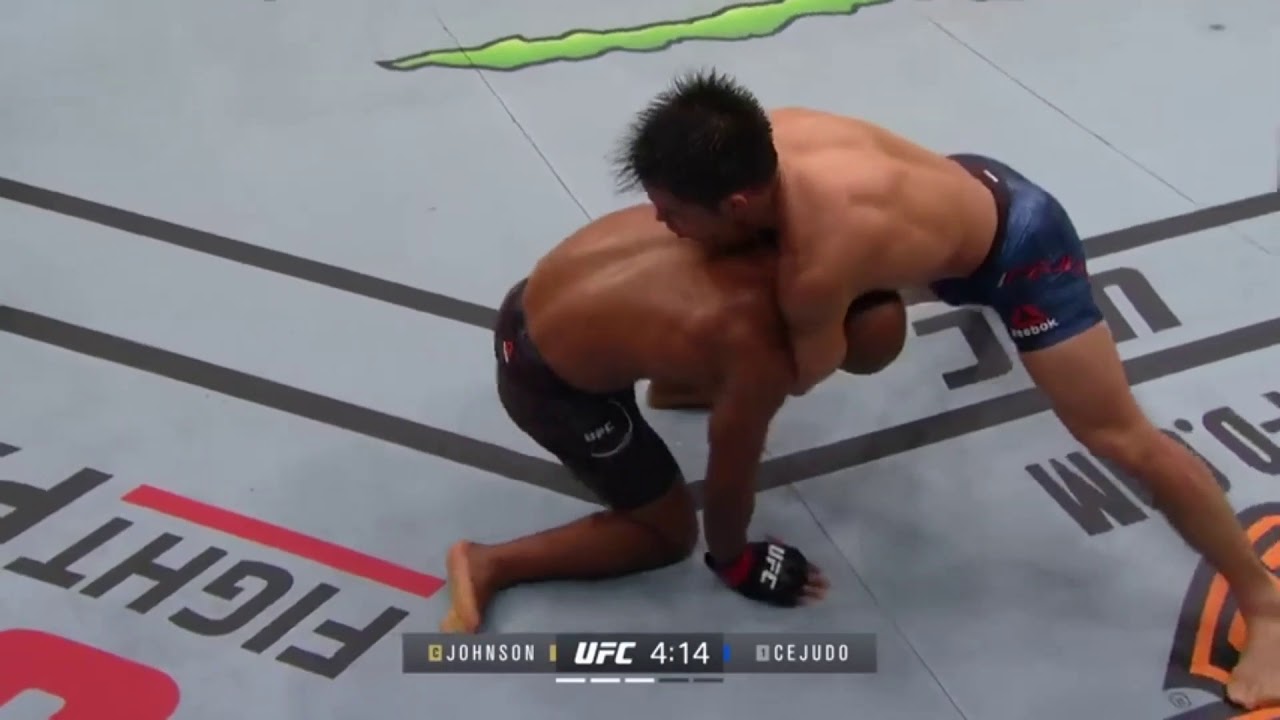 Henry Cejudo vs Demetrious Johnson 2 (HIGHLIGHTS)