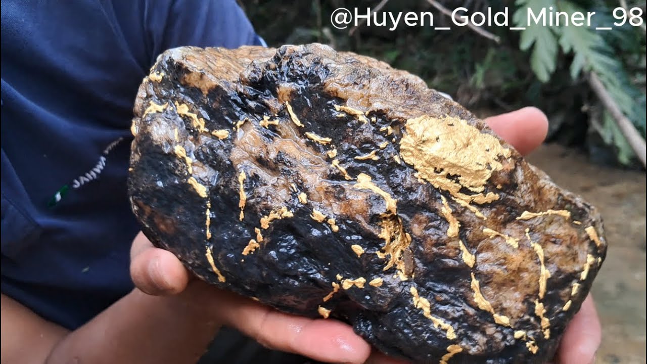 Hunting Gold in the Jungle: 21KG Quartz with Visible Gold Found!