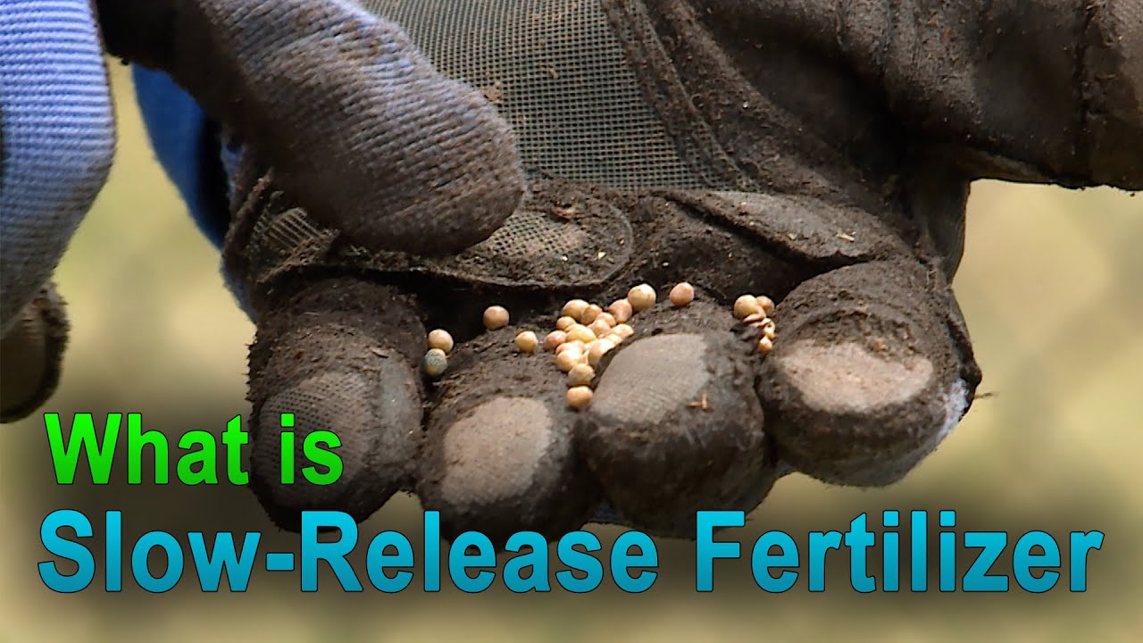 How Slow-Release Fertilizer Works &ndash; This Week in the Garden