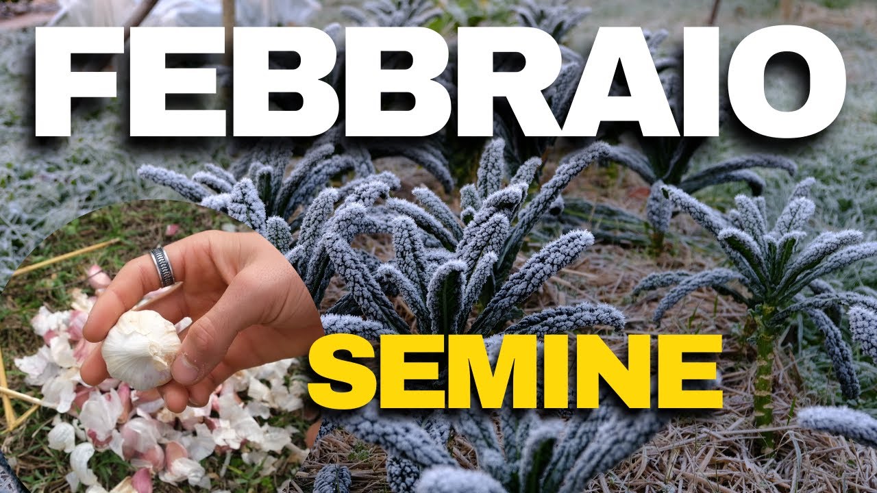 COSA SI SEMINA NELL'ORTO A FEBBRAIO?
