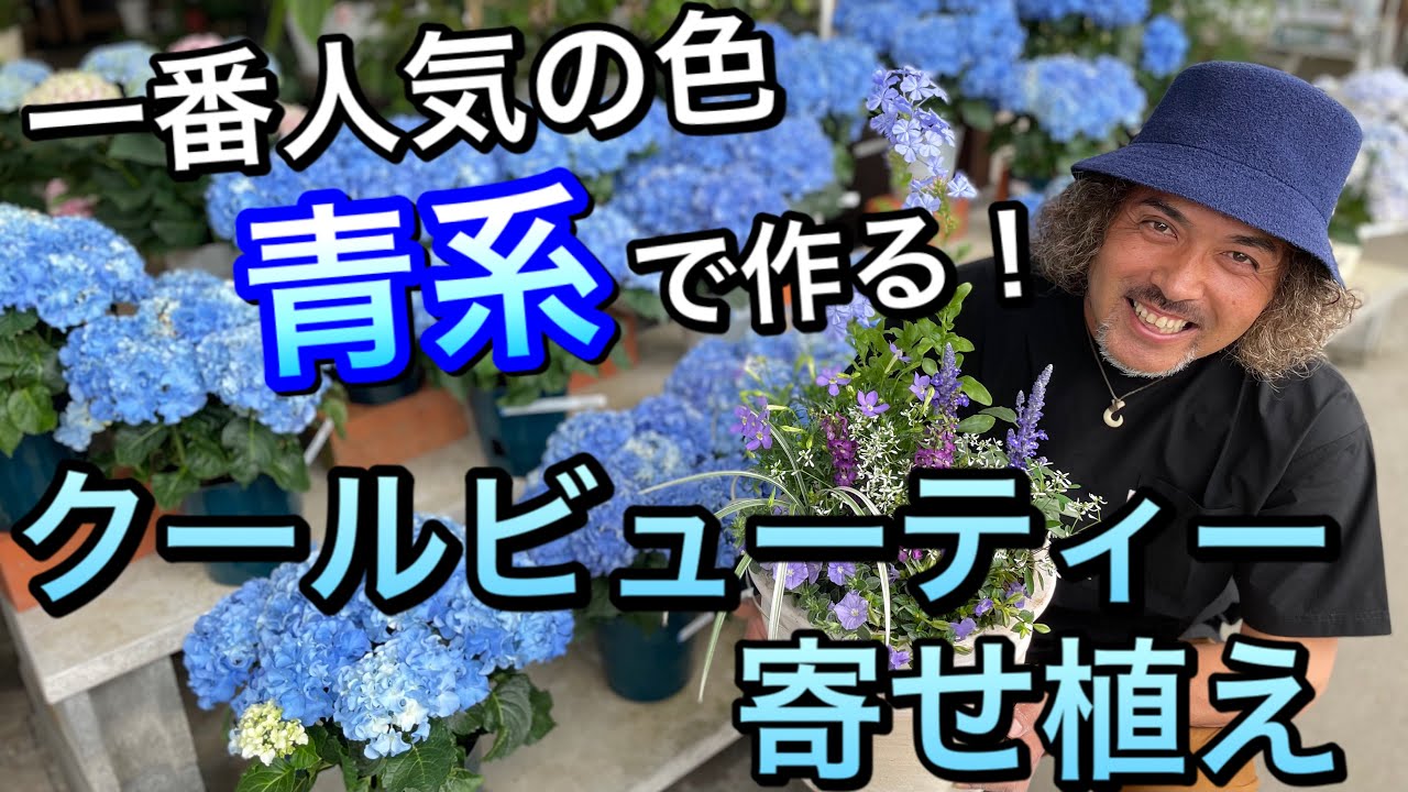 【寄せ植え】青い最強夏花でクールビューティー寄せ植え作り