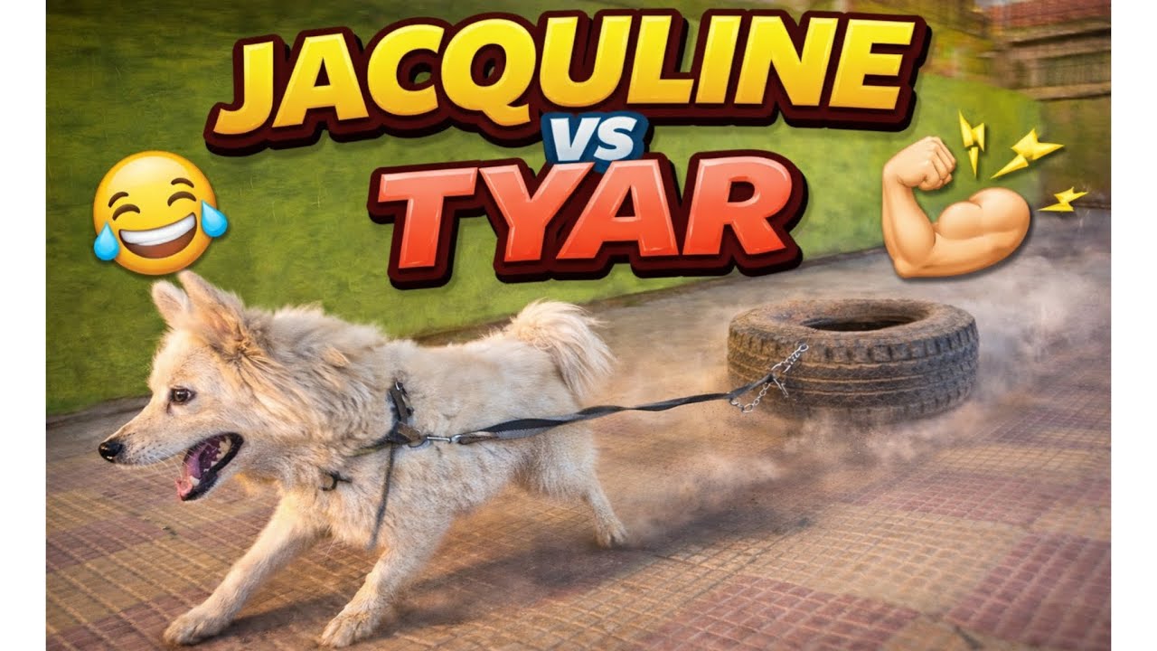 Ye Dog Nahi Hulk Hai 😱💪 | Jacqucline Power Test