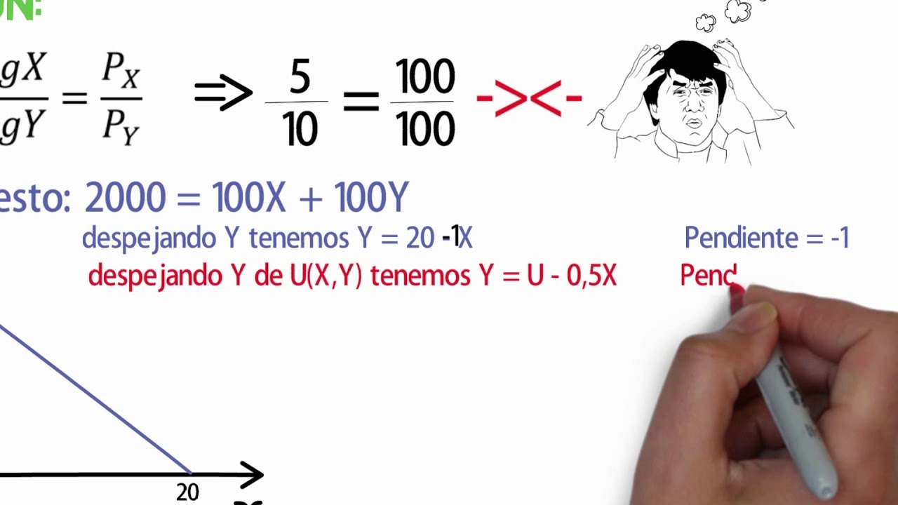optimo del consumidor sustitutos perfectos ejercicio resuelto