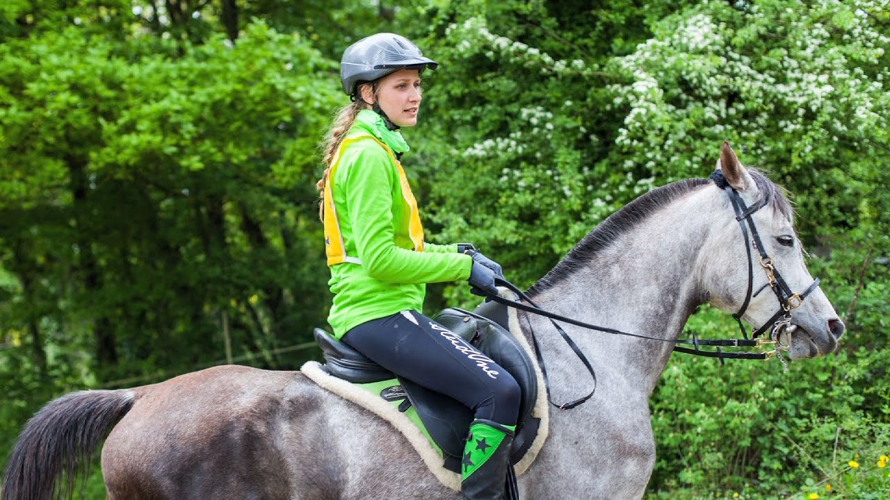 How should I feed an endurance horse?