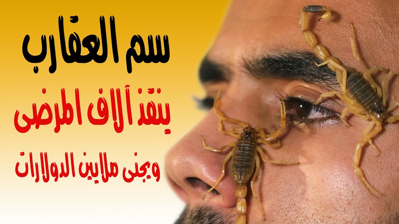 شاهد | سم العقارب ينقذ آلاف المرضى ويجنى ملايين الدولارات.