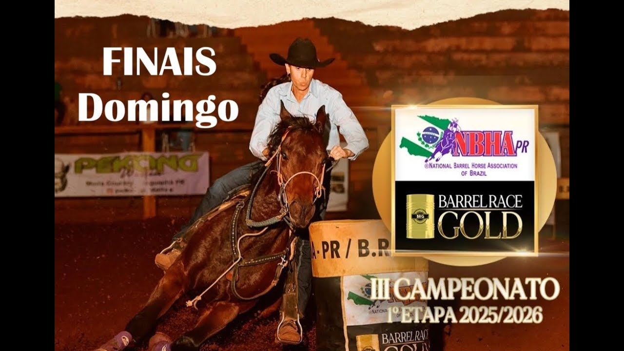 FINAIS DOMINGO - 1&ordf; ETAPA NBHA - PR 2025/2026