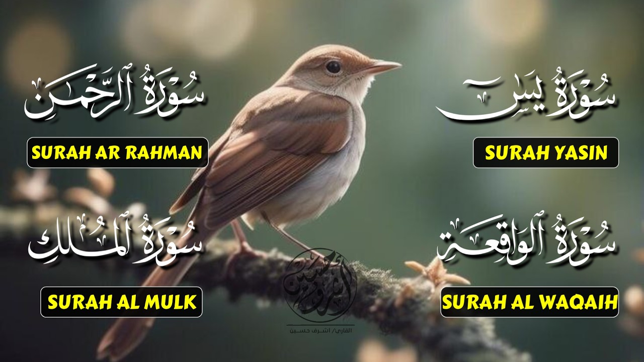 Very Nice Voice Surah Yaseen | Surah Rahman | Surah Waqiah | Surah Mulk l Reciter Ashraf Hussain 060