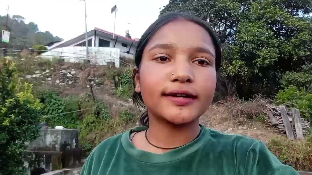 ।। पहाड़ों में जनसंख्या घटने का कारण।।#pahadilifestyle #vlog 