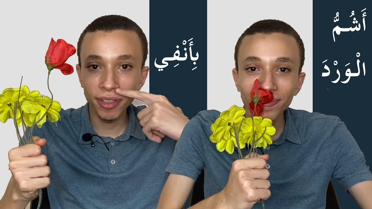 (36) الحواس الخمس || وحدة جسمي سليم|| الجزء الثاني  ll سلسلة كنوز