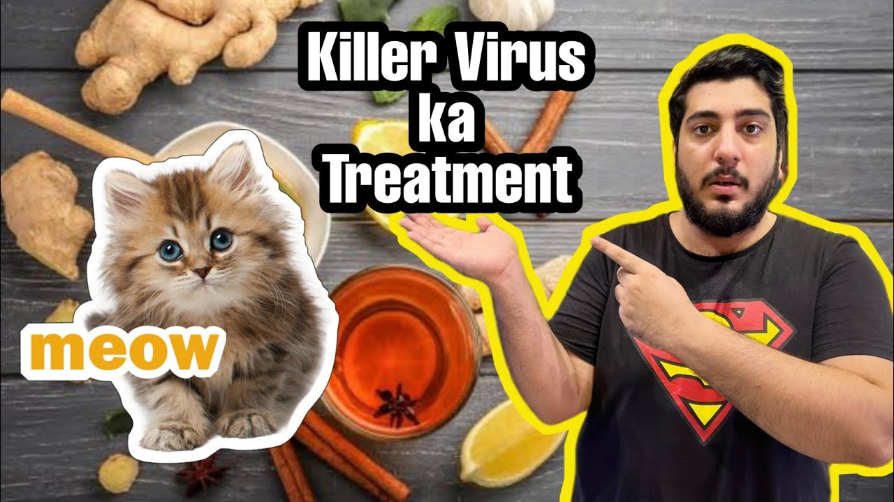 Cat ki Is Disease Ka treatment kia hai ? Feline panleukopenia virus Precautions for Home