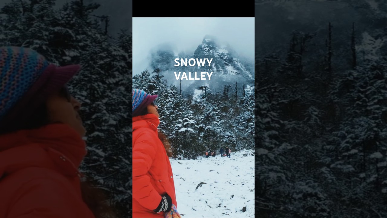 You Won't Believe the SNOW in 📍 Sikkim's Mount Katao THIS YEAR! #shorts #travel