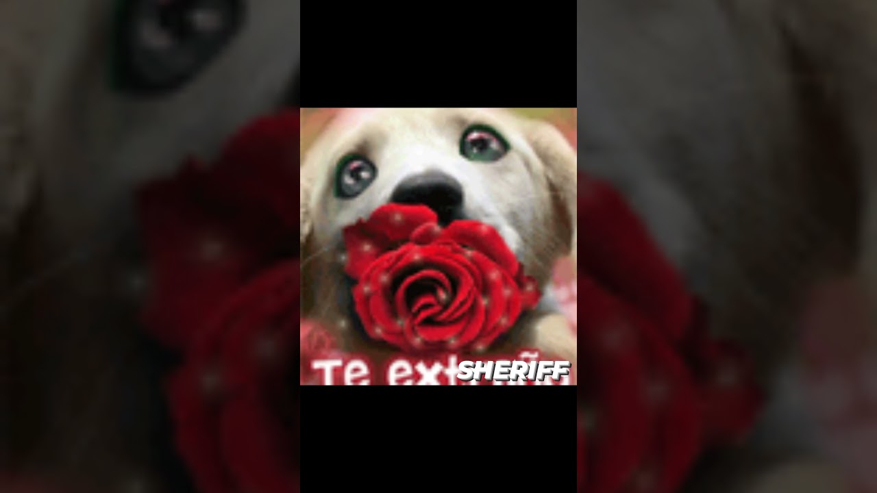 Ilusión y deseo 