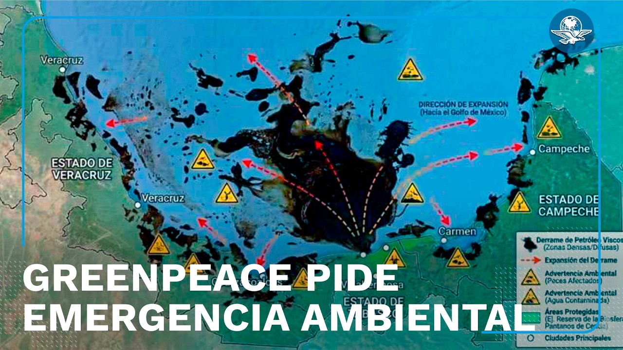 Derrame petr&oacute;leo en el Golfo de M&eacute;xico deja 630 km afectados, alert&oacute; Greenpeace
