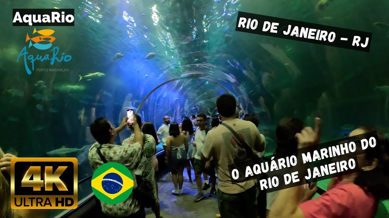 ⁴ᴷ⁶⁰ Walking Rio de Janeiro - Brasil : AquaRio