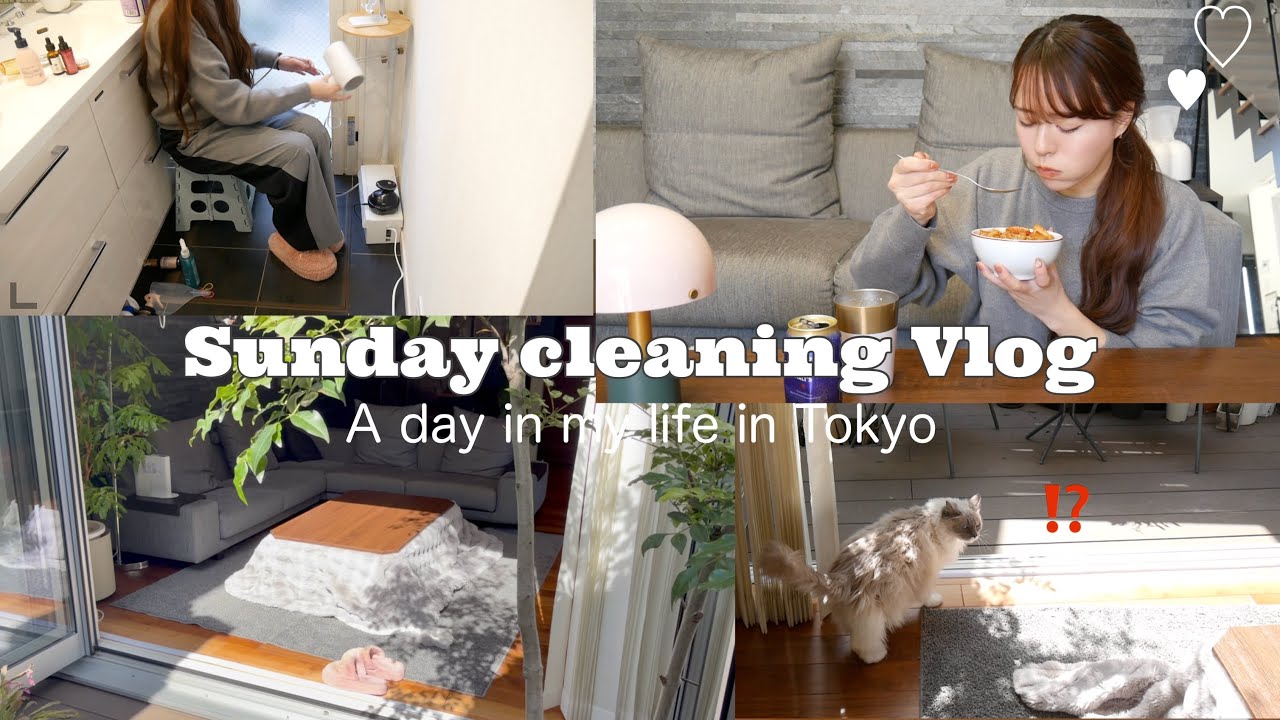 汚い家をお酒飲みながら掃除する日曜日🧹春の模様替えしていた事件発生‼️猫の脱走…【Sunday Reset】Vlog188