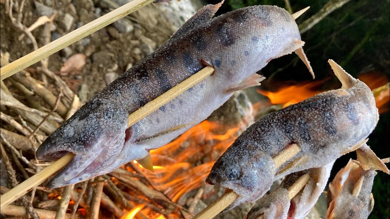 釣ったヤマメを焚火で塩焼きにして八海山をキメるだけの動画