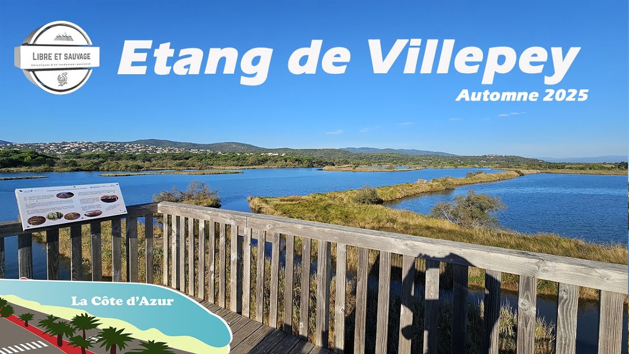 Etang de Villepey