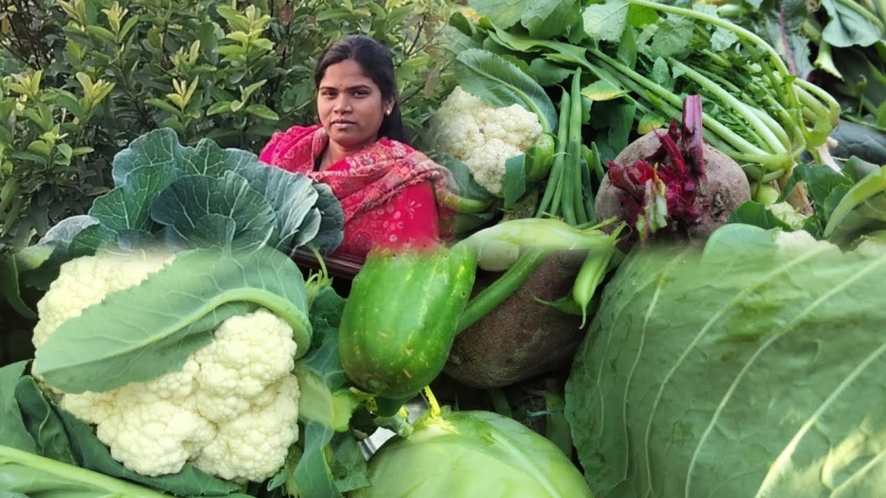 বাগানে কি কি সবজি চাষ হয়েছে