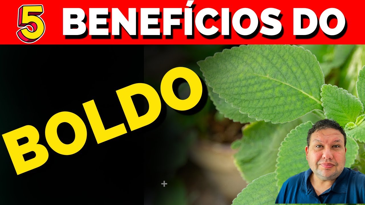 5 BENEF&Iacute;CIOS DO CH&Aacute; DE BOLDO