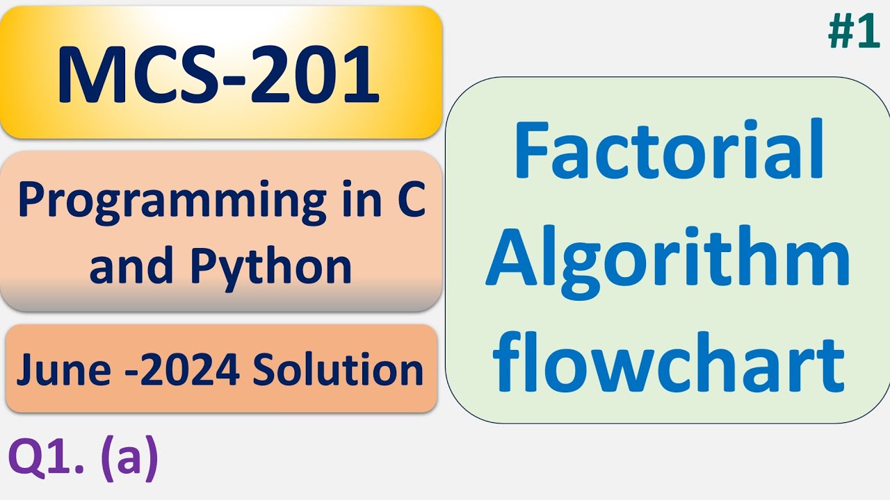 Factorial Algorithm flowchart | Programming in C and Python |   MCS-201 | June -2024 Solution | #1