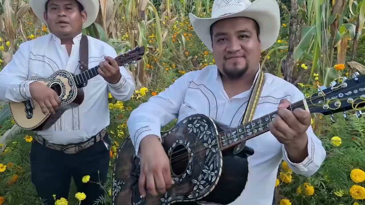 El son del canario 