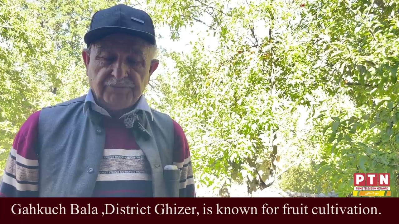 Gahkuch Bala ,Distric Ghizer, is khwon Fruit Celti