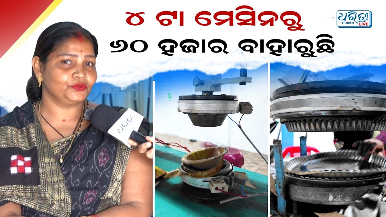 ୪ ଟା ମେସିନରୁ ୬୦ ହଜାର ବାହାରୁଛି |  Paper Plate Machine | Madhulika Enterprises