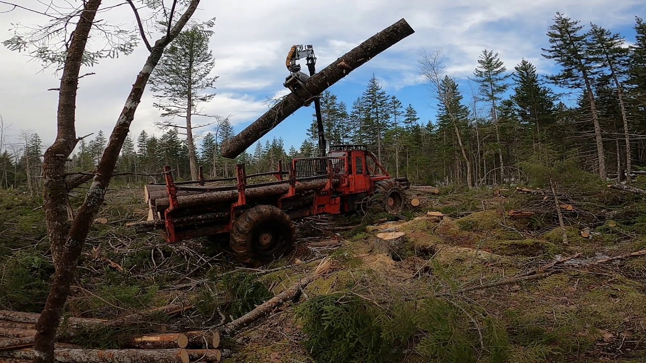 TIMBERJACK PORTER 230 HAULING HUGE LOAD START TO FINISH!! GOOD OPERATOR!! 353 DETROIT DIESEL!!