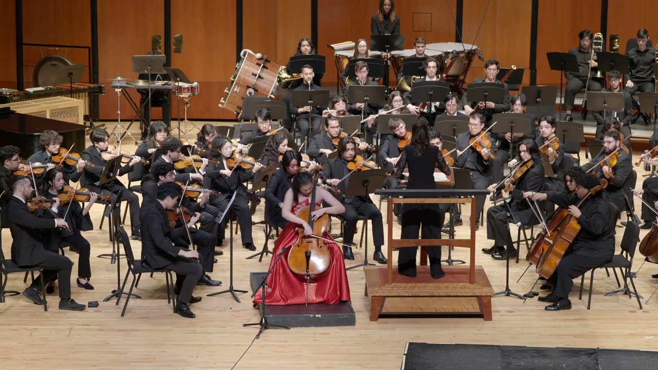 Ashley's Dvorak Complete concerto