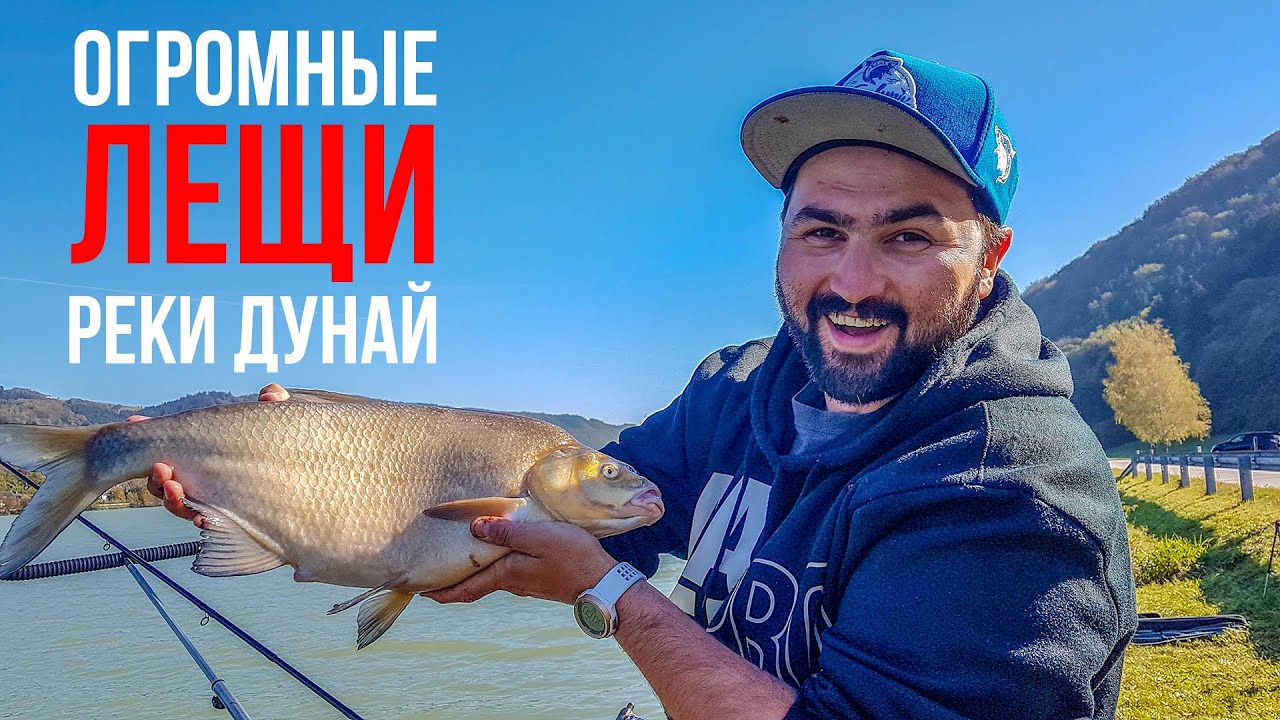 ОГРОМНЫЕ лещи реки Дунай | Современная фидерная ловля | На рыбалку в Европу #3