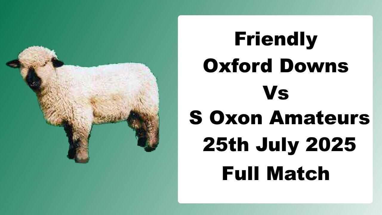 ODCC 1st XI vs South Oxfordshire Amateurs CC XI Friendly - Live cricket stream with commentary