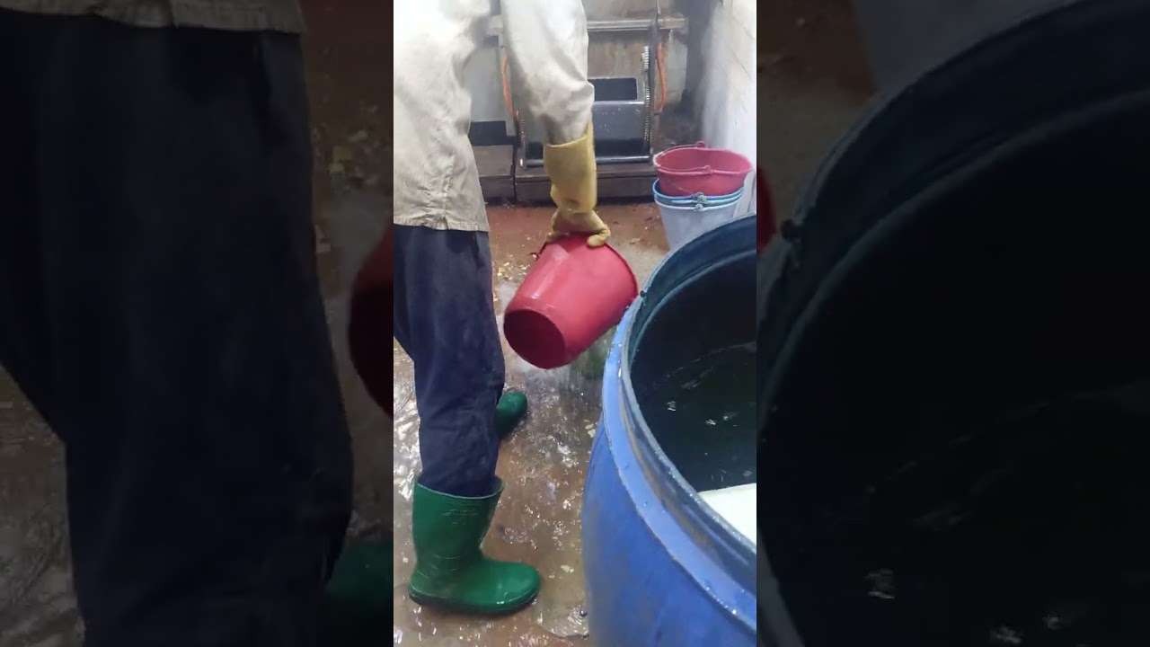 ٢ نوفمبر ٢٠٢٤