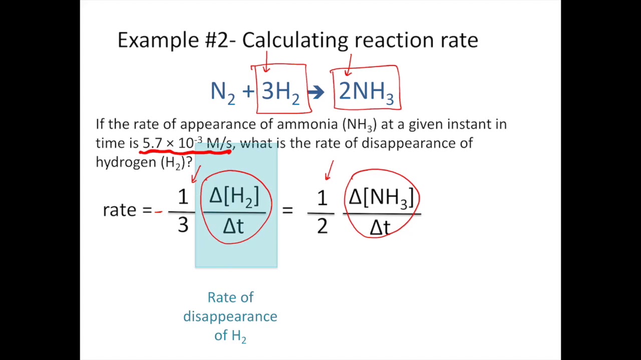 Reaction Rates and Stoichiometry- Chemistry Tutorial