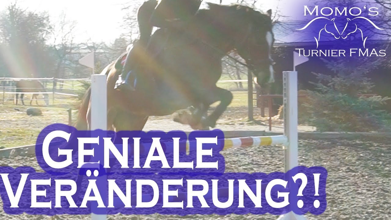 ANDERES Pferd?! Genial | 1 MONAT Beritt