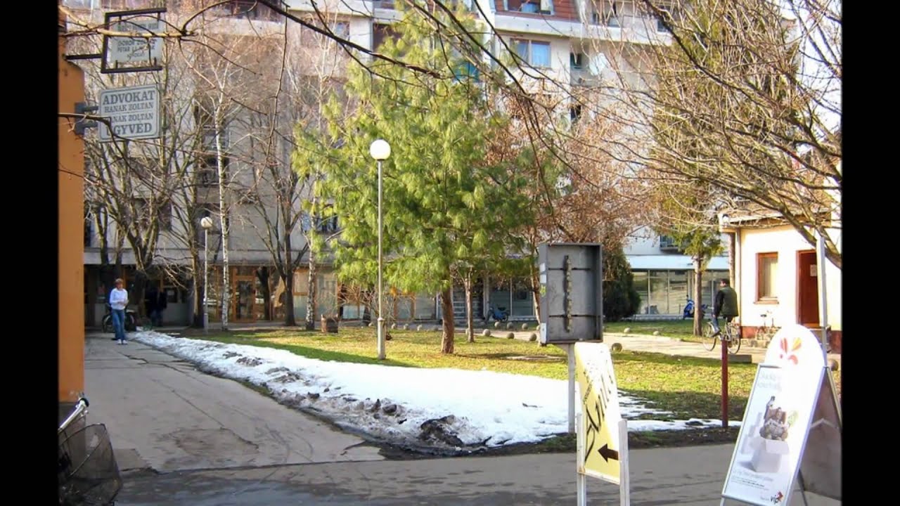 Temerin   Tavaszeleji naps&uuml;t&eacute;s