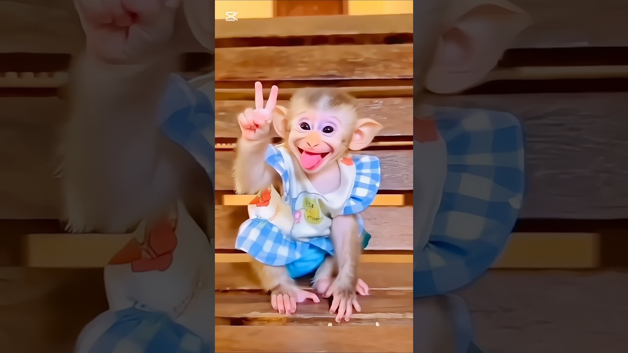 One or Two banana🍌😆😂👈 Tom and Jerry #shorts #trending #viralvideo #tom #jerry #funny #comedy #video