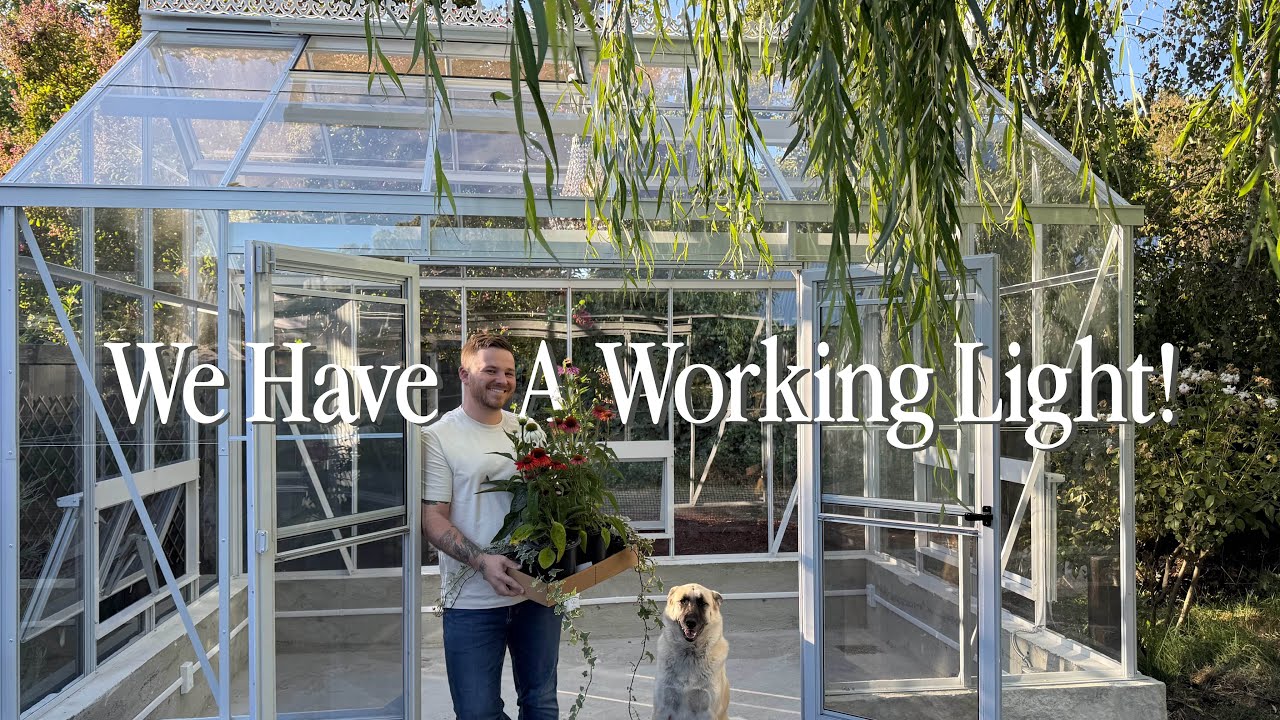 The Prettiest Thing In The Greenhouse! || Visit Our Garden