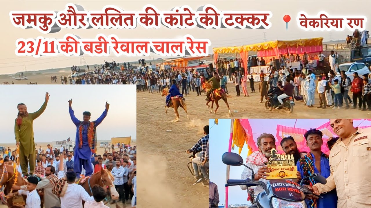 जमकू घोड़ी ने मारी बाजी | ललित रहा दूसरे स्थान पर | वेकरिया रण 23/11 बड़ी रेवाल चाल रेस | The Hunter