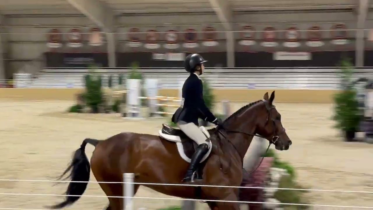 3rd place finish at Region 5 ASPCA Maclay regionals with “Churchill 56”