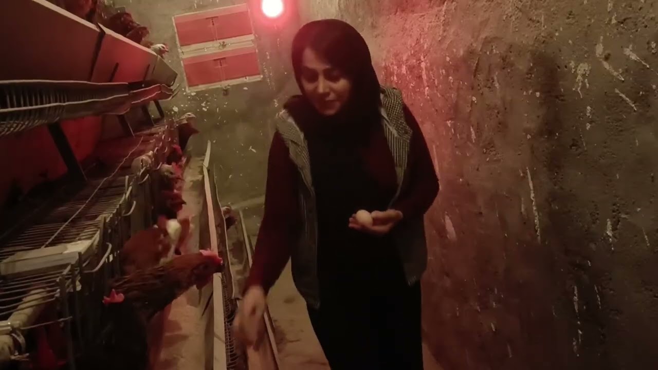 🔥 Rustic Mirza Ghasemi Made Over Open Fire – Fresh Eggs & Smoky Flavors! 🍆🍅