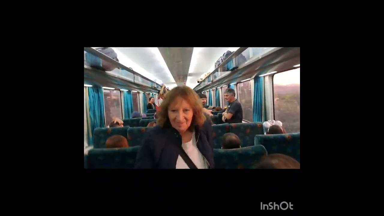 tren del año nuevo (estacion central - Limache)