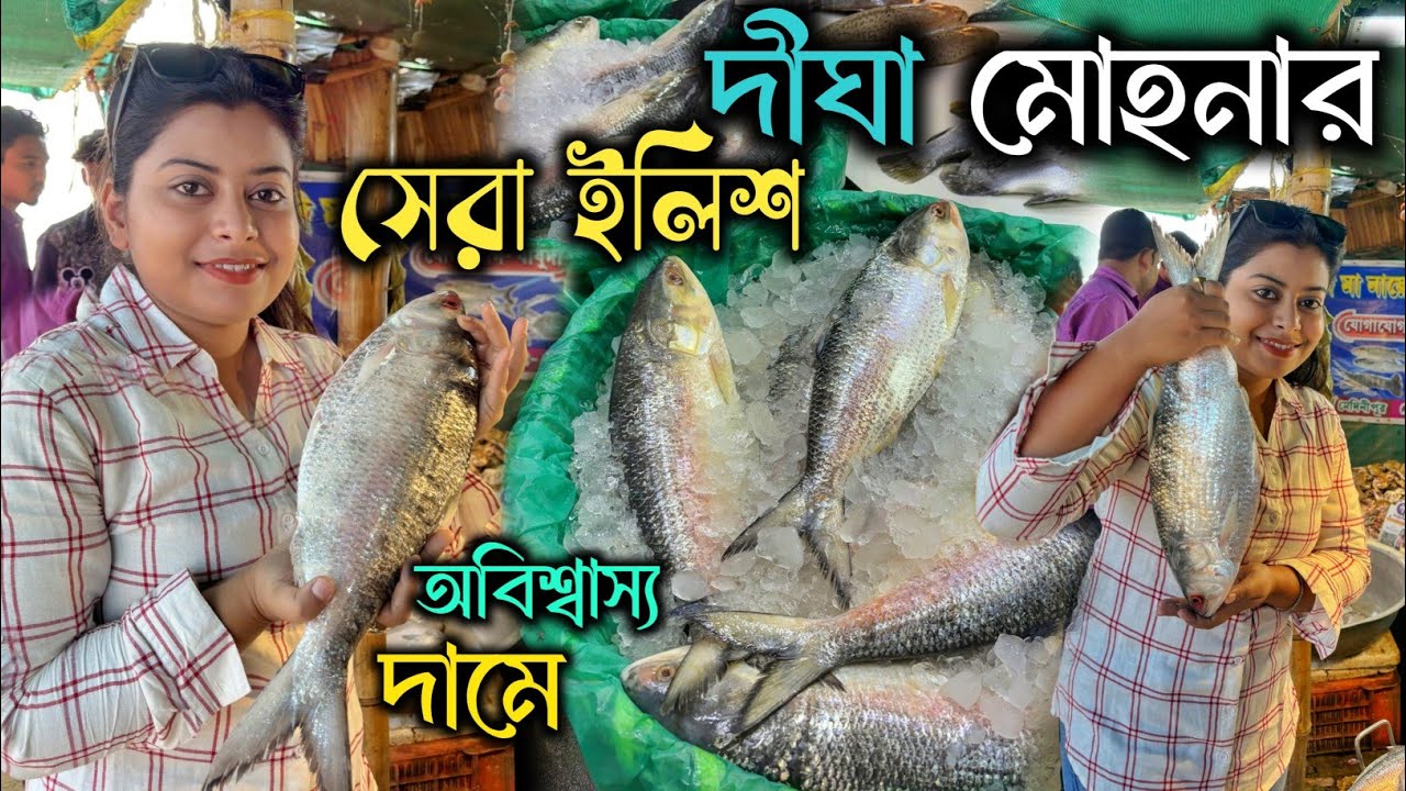 Digha mohona Fish market 2024| ৭০০ টাকা কেজি  ইলিশ | সস্তায় টাটকা মাছ দীঘার মাছ বাজারে পেলাম