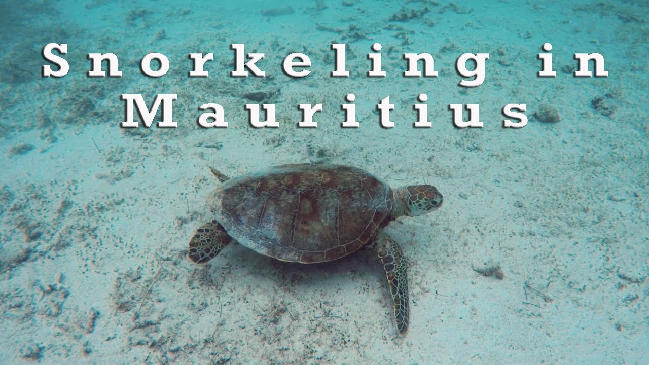 Snorkeling Îlot Gabriel and Flat Island | Mauritius