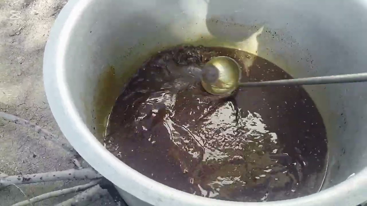 Kotli Khurd chawal dekh Kotli kalan UK se aalha Kabul Karen...7...3..2025