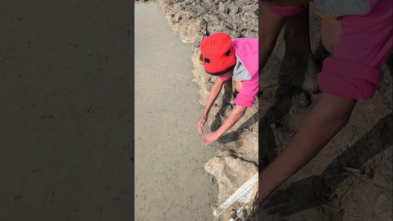 MashaAllah, look how many fish Ramim caught with his hands. #fish #fishing #fishingvideo #shorts #shortvideo